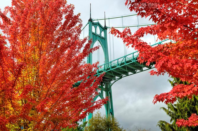 'The Best of Portland' City Tour: Small-Group Sightseeing Tour - Key things you’ll notice right away