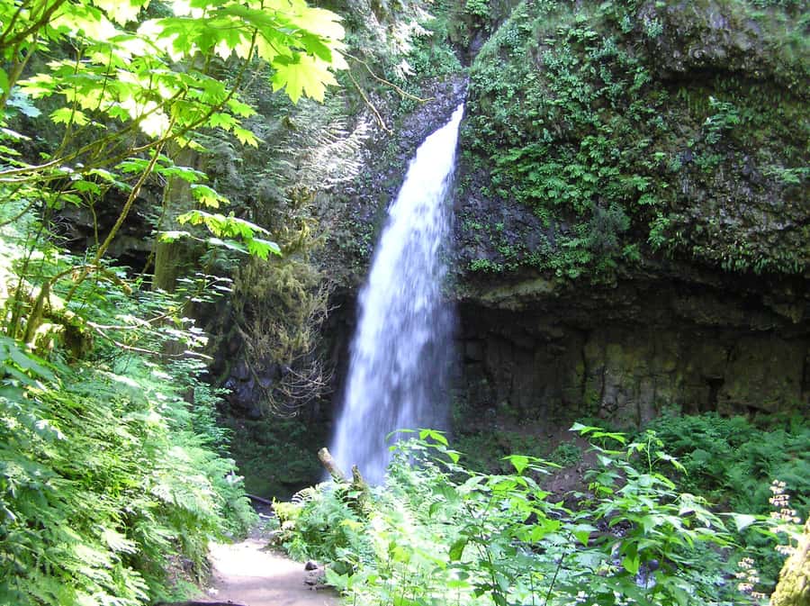 Waterfall Express -PDX: Waterfall Trolley Tickets + Transfer - Latourell Falls and Bridal Veil Falls: Two Ways to Appreciate Water Power