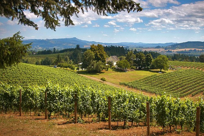 Willamette Valley Wine Tasting Tour from Portland - Director Park to Newberg: start easy, stay safe