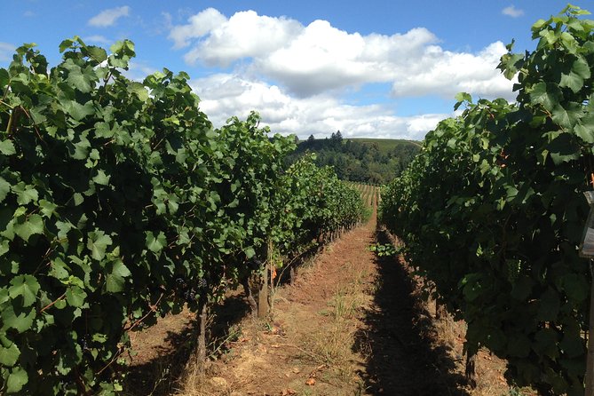 Willamette Valley Wine Tasting Tour from Portland - Timing, pacing, and how to have a good day without rushing