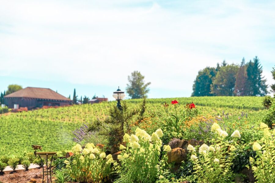 Willamette Valley Wine Tour - Price math: $140 is only part of your day’s total
