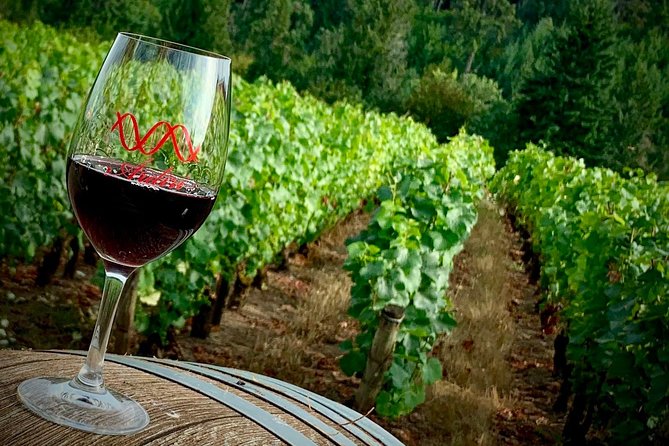 Willamette Valley Wine Tour from Portland - The real cost math: ticket price covers transport, not the wine