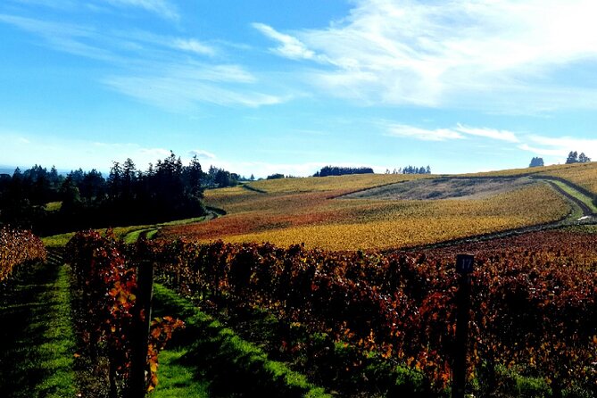 Willamette Valley Wine Tour with Lunch - Who This Tour Suits Best (And Who Might Want Something Different)
