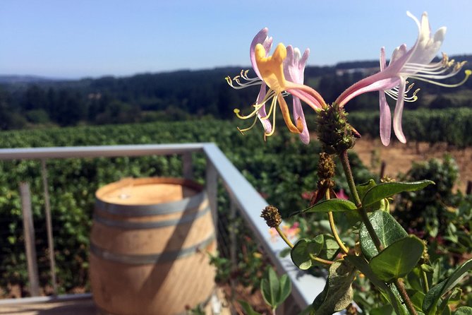 Willamette Valley Wine & Whisky - Key highlights worth clocking before you book