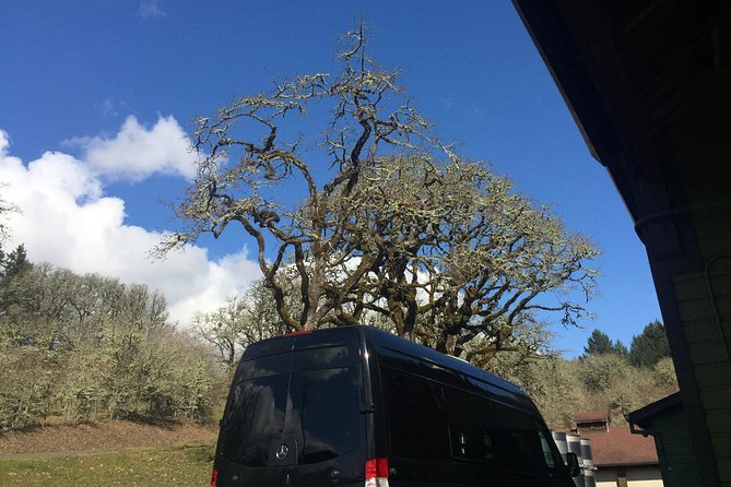 Willamette Valley Wine & Whisky - Why a driver-led Willamette Valley day beats DIY from Portland