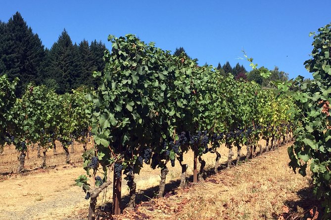 Willamette Valley Wine & Whisky - Whisky moments: how the day blends wine and spirits