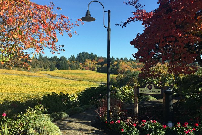 Willamette Valley Wine & Whisky - Lunch and snacks: why the meal can make or break your pacing
